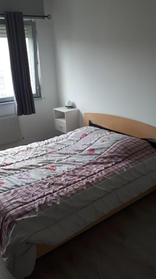 Studio De L'Est Apartman Colmar Kültér fotó